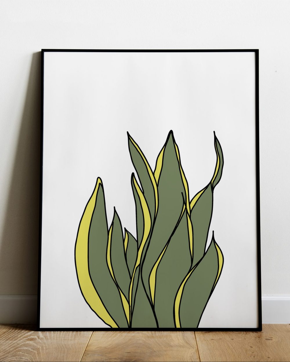 snake plant illustration